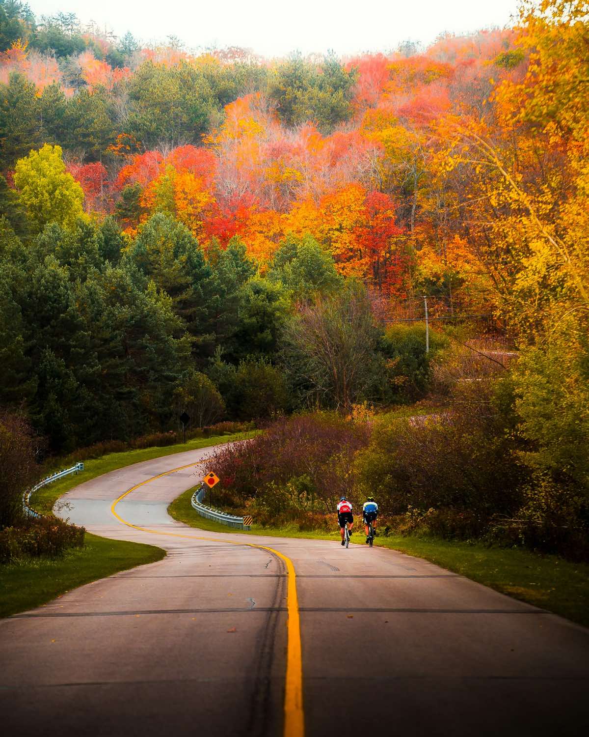 A quiet country road through autumn trees
