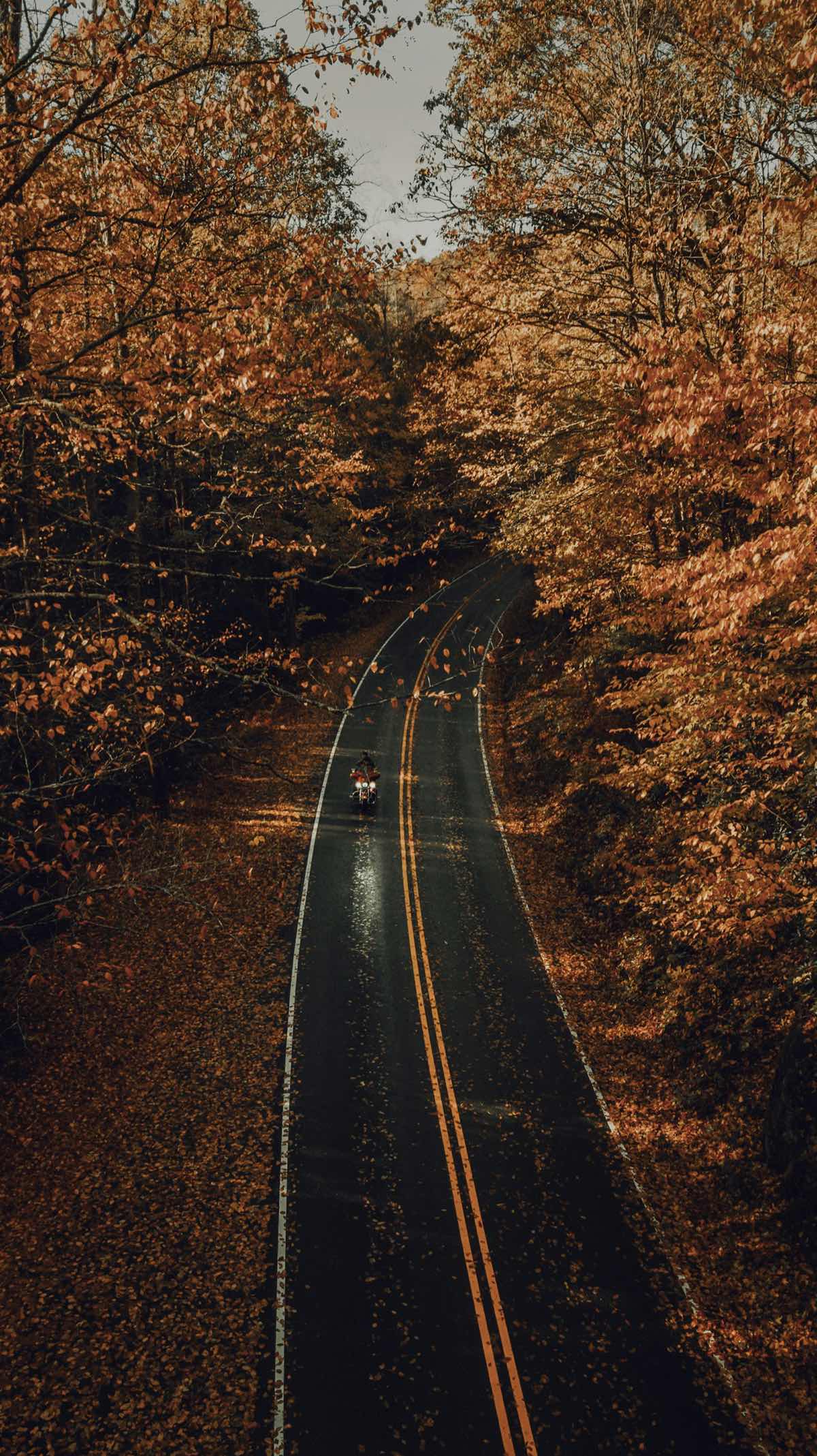 A road through hills of autumn trees